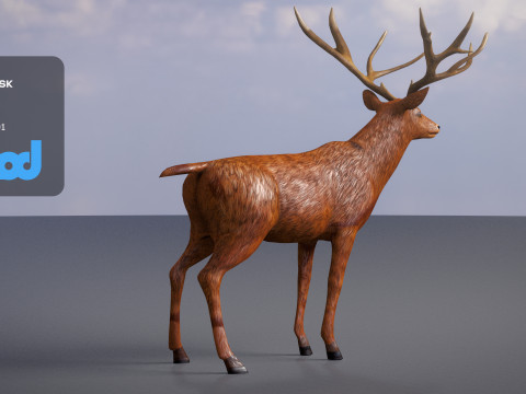 Deer 001 Model 3D