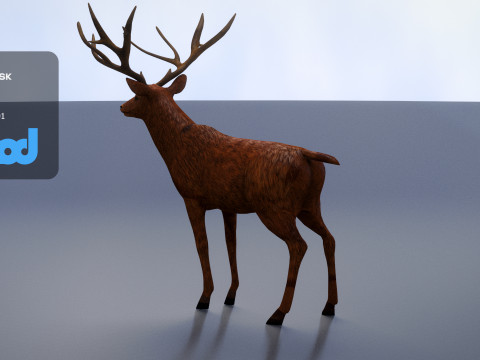 Deer 001 Model 3D
