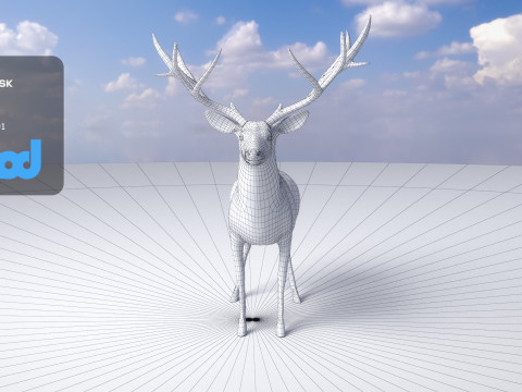Deer 001 Model 3D