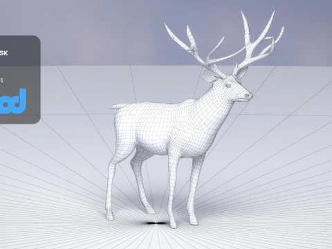 Cervo 001 Modello 3D