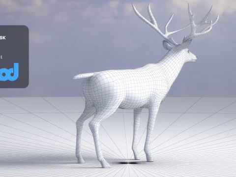 Cervo 001 Modello 3D