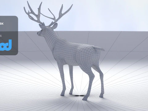 Cervo 001 Modello 3D