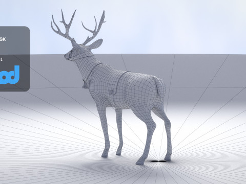 Animal Deer 002 3D Model