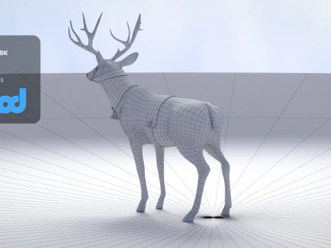 Animale Cervo 002 Modello 3D