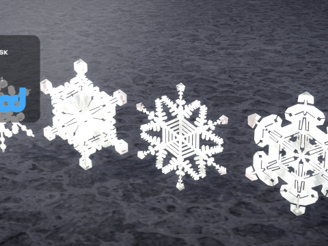 Snow Flake Model 3D