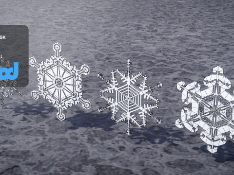 Snow Flake Model 3D