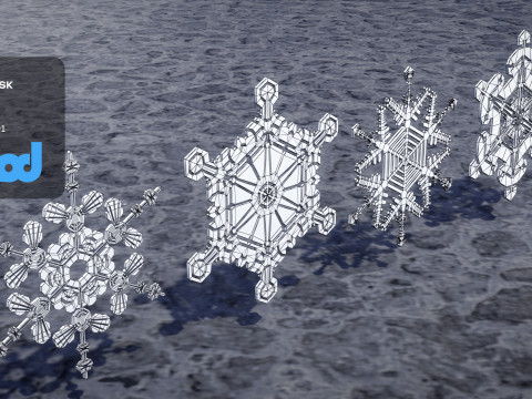 Snow Flake Model 3D
