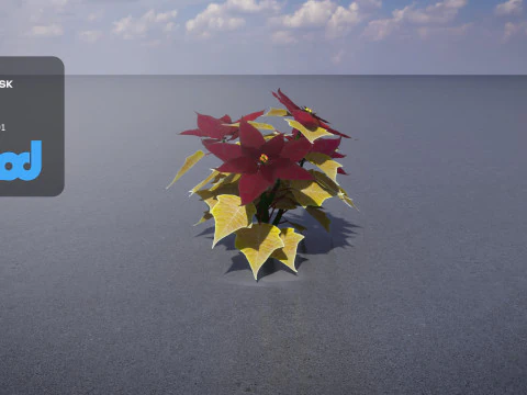 Poinsettia 001 3D Model