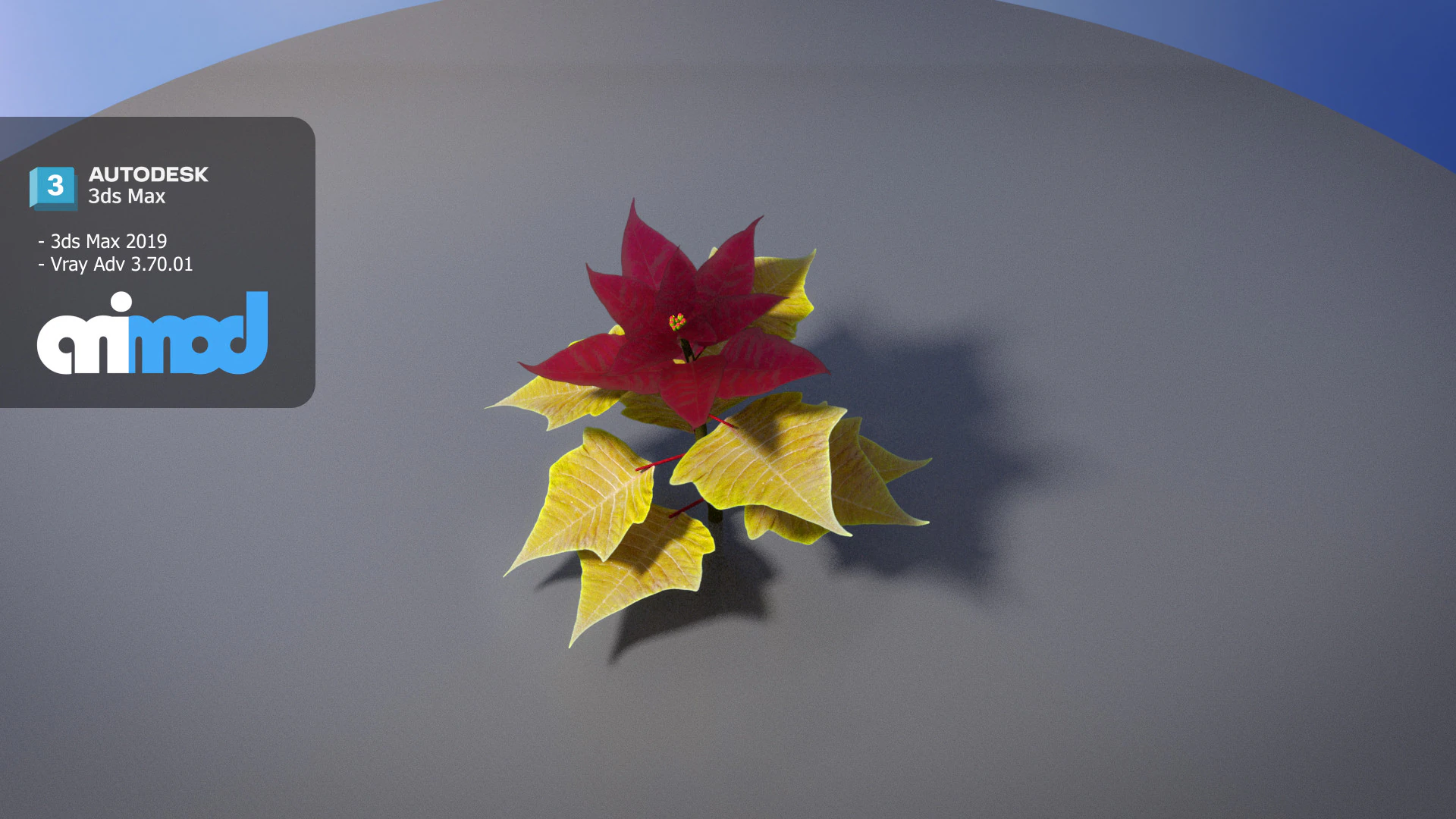 Poinsettia 002 3D Model .c4d .max .obj .3ds .fbx .stl .blend 