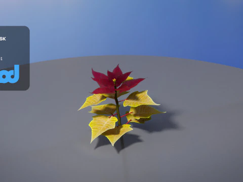 Poinsettia 002 3D Model