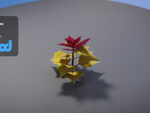 Poinsettia 002 3D 모델