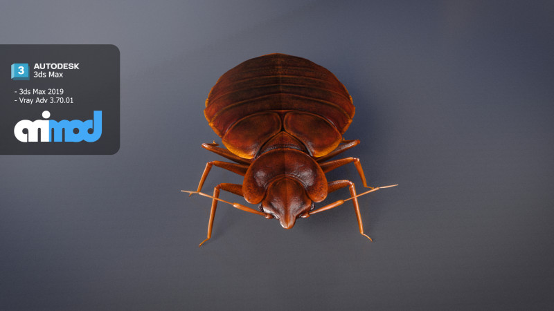 Mites 3D-Modell .c4d .max .obj .3ds .fbx .stl .blend