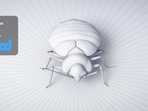 Mites 3D Model