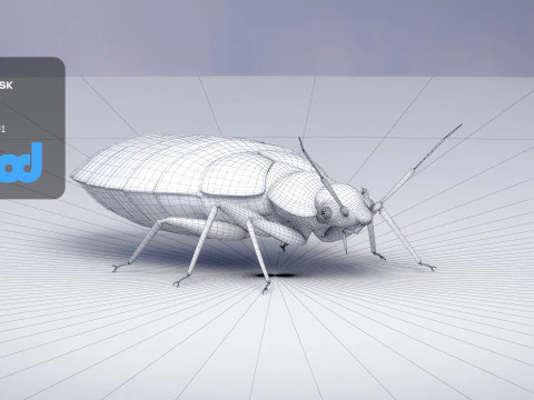 Mites 3D Model