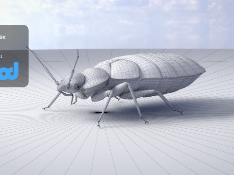 Mites 3D-Modell