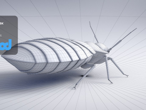 Mites 3D-Modell