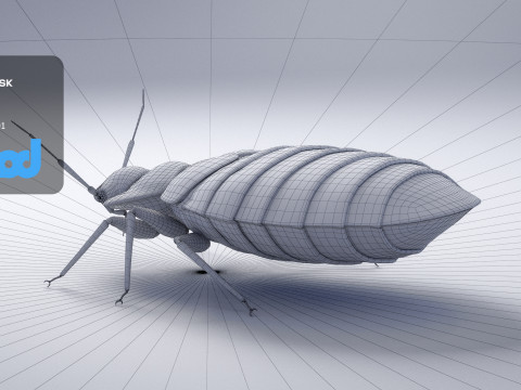 Mites 3D-Modell