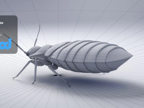 Mites 3D Model