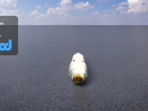 Шовкопряд 3D Модель