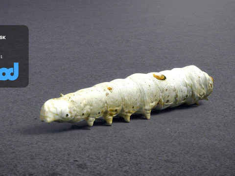 Silkworm 3D Model