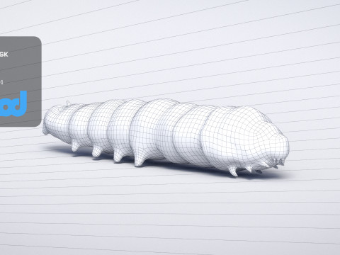 Silkworm 3D Model
