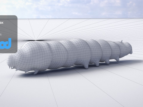 Silkworm 3D Model