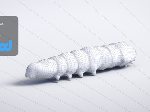 Silkworm 3D Model
