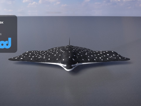 Spotted Eagle Ray 3D 模型