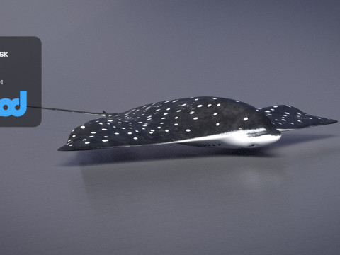 Spotted Eagle Ray 3Dモデル