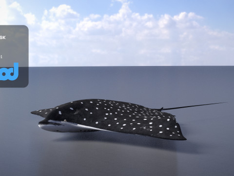 Spotted Eagle Ray 3Dモデル
