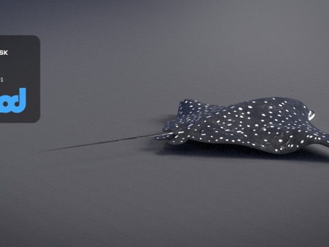 Spotted Eagle Ray 3Dモデル