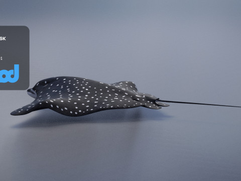 Spotted Eagle Ray 3Dモデル