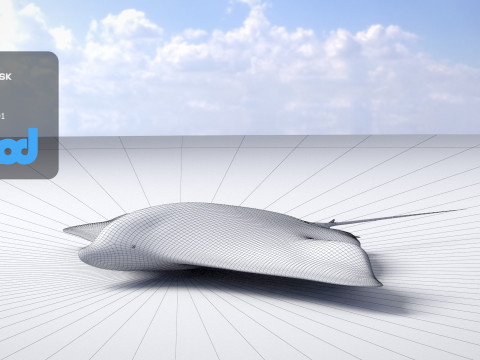 Spotted Eagle Ray 3Dモデル