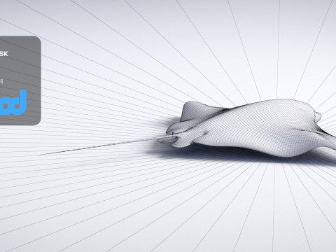 Spotted Eagle Ray 3Dモデル