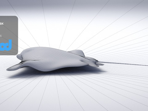 Spotted Eagle Ray 3Dモデル