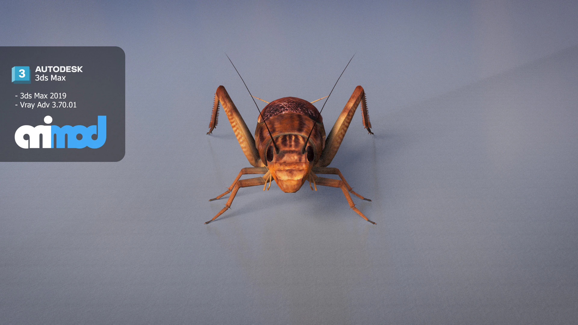 Cricket 3D Model .c4d .max .obj .3ds .fbx .stl .blend 