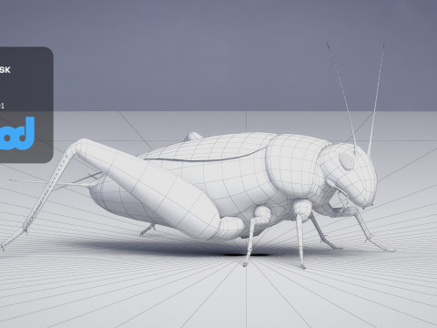 Cricket 3Dモデル