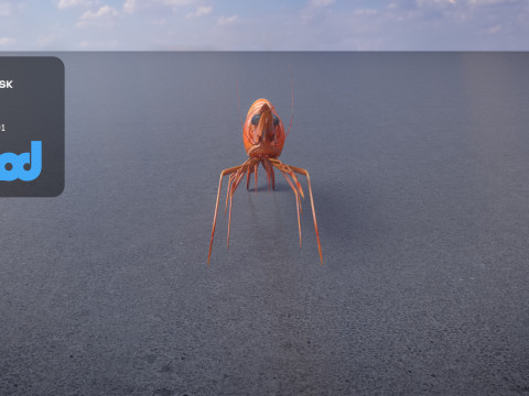 Cooked Shrimp 3D Model