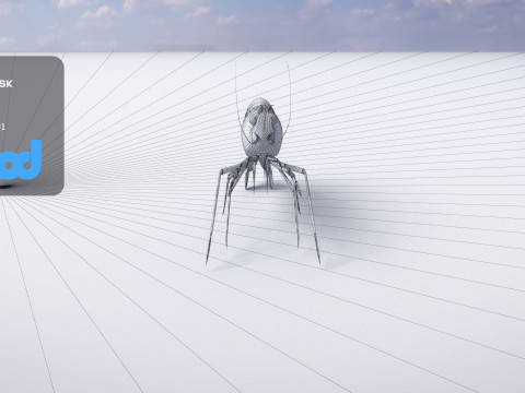 Cooked Shrimp 3D Model