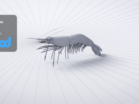 Cooked Shrimp 3D Model
