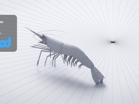 Cooked Shrimp 3D Model