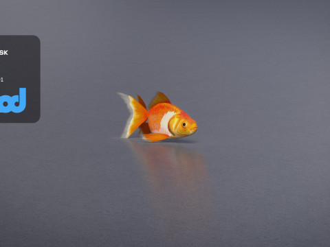 Gold Fish 3Dモデル
