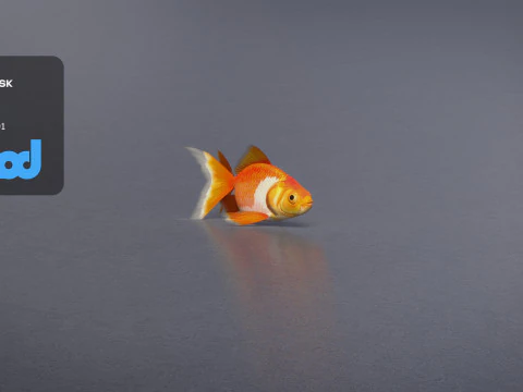金魚 3Dモデル
