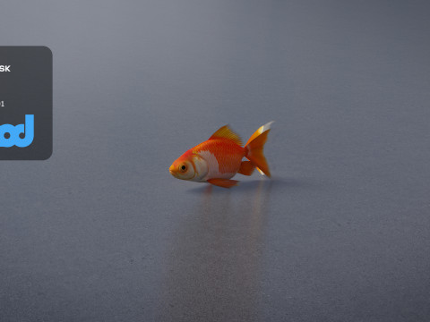 Gold Fish 3Dモデル