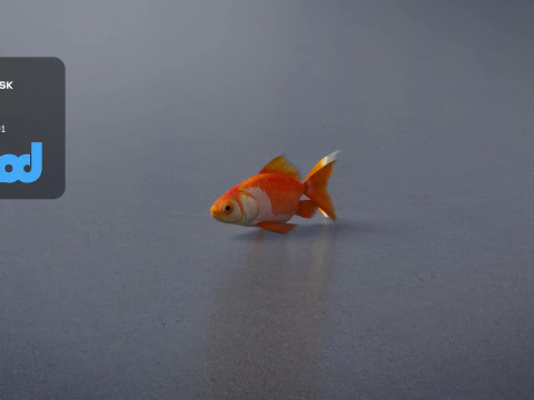 金魚 3Dモデル