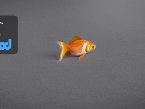 金魚 3Dモデル