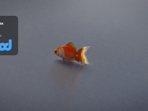 Gold Fish 3Dモデル