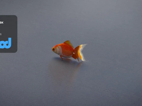金魚 3Dモデル