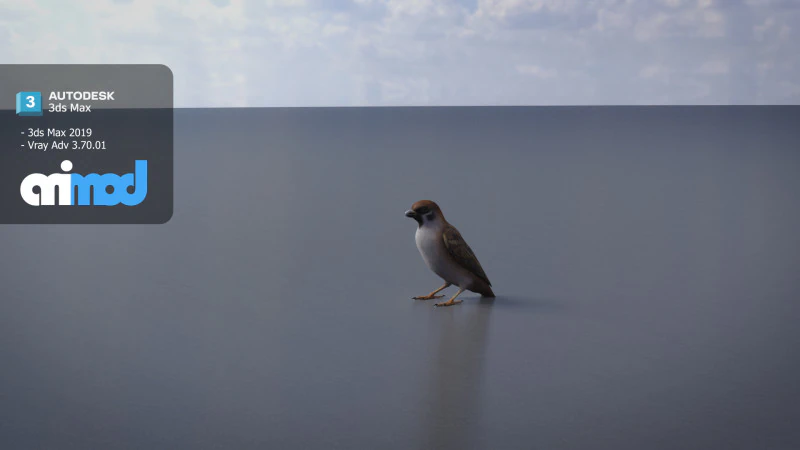참새 3D 모델 .c4d .max .obj .3ds .fbx .stl .blend 