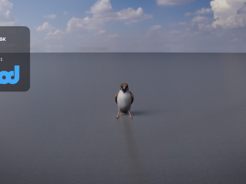 Sparrow 3Dモデル